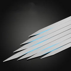 Stainless Steel BBQ Skewers for Outdoor Camping & BBQ