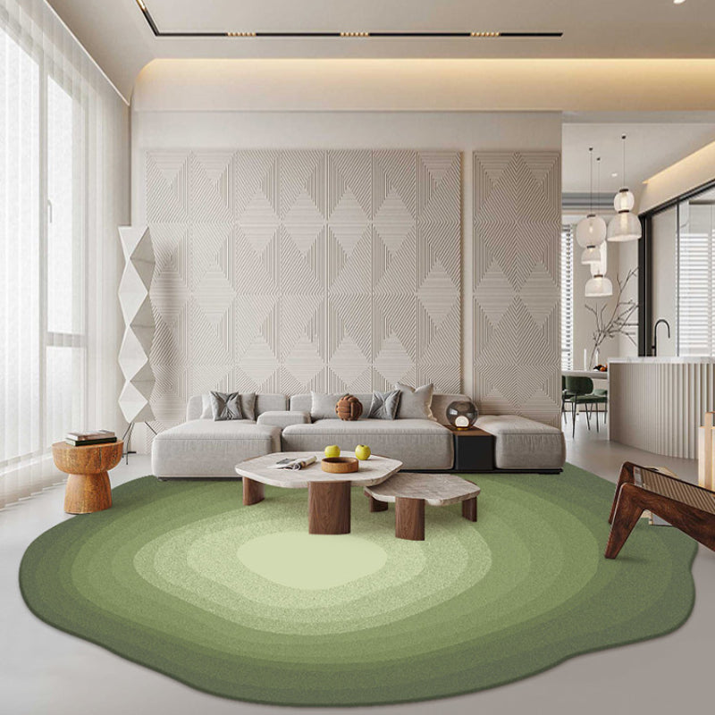 Modern Minimalist Carpets Living Room Plush Carpet Irregular Shape