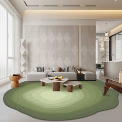 Modern Minimalist Carpets Living Room Plush Carpet Irregular Shape