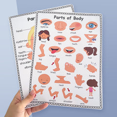 2Pcs A4 Human Body Educational Posters Body Parts Wall Chart For Kids