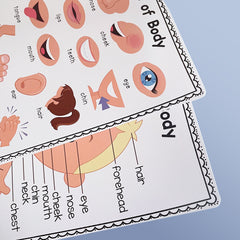 2Pcs A4 Human Body Educational Posters Body Parts Wall Chart For Kids