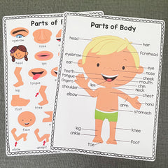 2Pcs A4 Human Body Educational Posters Body Parts Wall Chart For Kids
