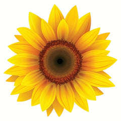 Sunflower Vinyl Waterproof Sticker Decal Car Laptop Wall Window Bumper