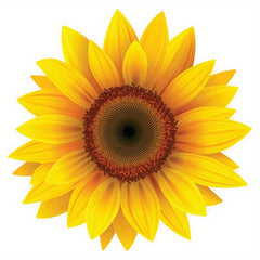 Sunflower Vinyl Waterproof Sticker Decal Car Laptop Wall Window Bumper