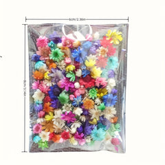 2 Packs Western Brazilian Small Star Flower Head Stamen