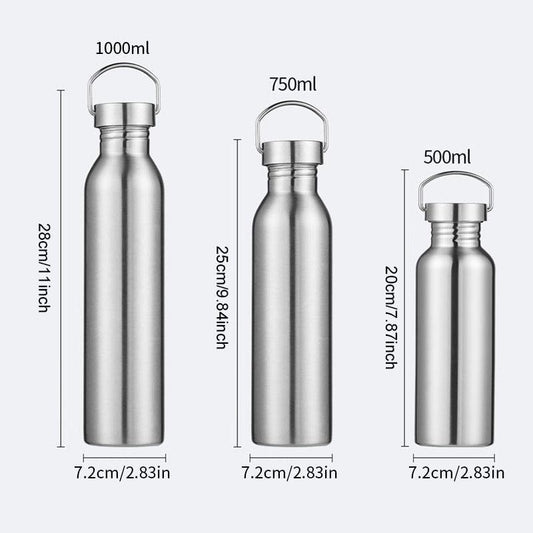 Stainless Steel Sports Water Bottle with Straw for Cycling Hiking