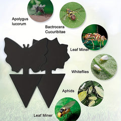 Insect Traps Sticky Fly Catchers Plant Control Gnats Mosquitoes Indoors Outdoors