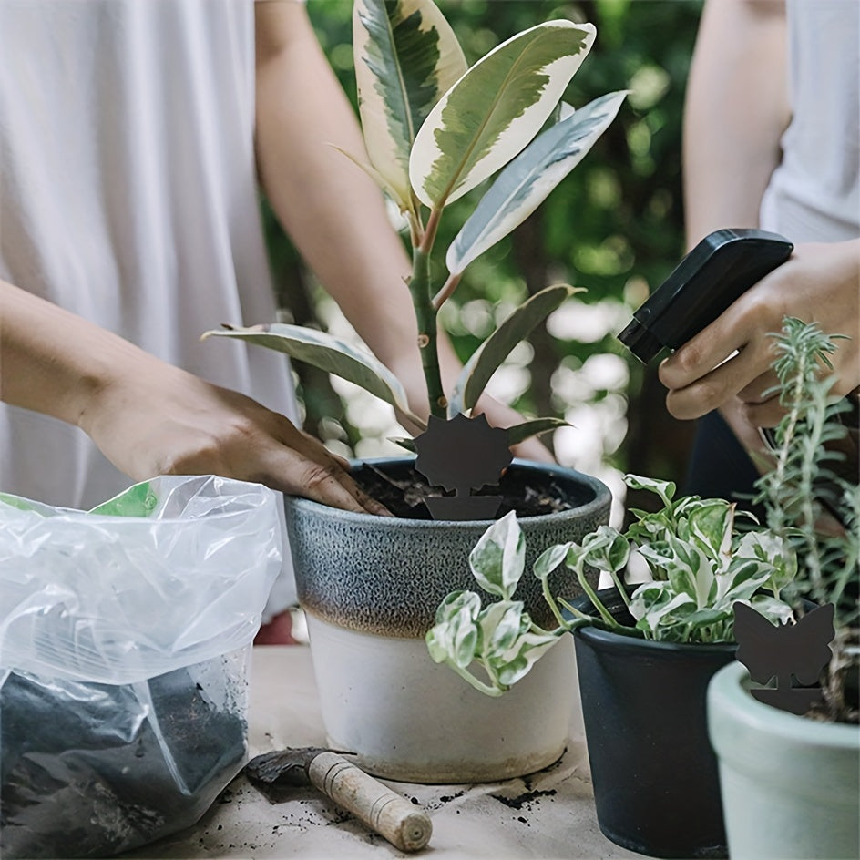 Insect Traps Sticky Fly Catchers Plant Control Gnats Mosquitoes Indoors Outdoors