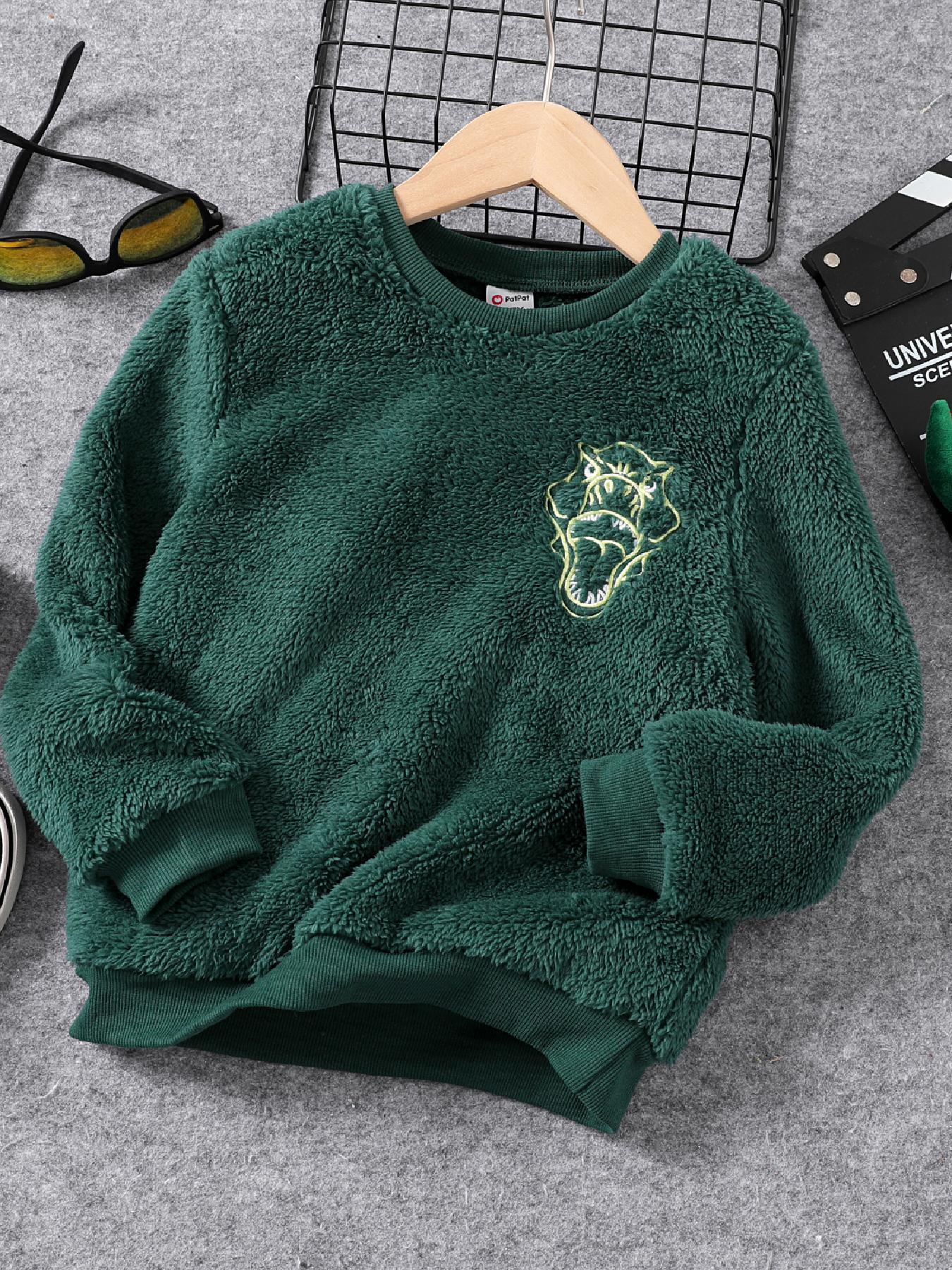 Embroidered Dino Print Boys Warm Sweatshirt