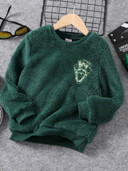 Embroidered Dino Print Boys Warm Sweatshirt