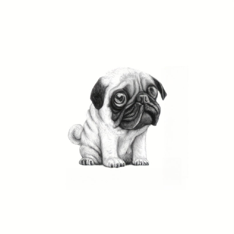 Pug Dog Self Adhesive Decals Car Motorcycle Wall