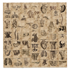 56pc Anatomy & Physiology Body Stickers for DIY Skateboard Guitar
