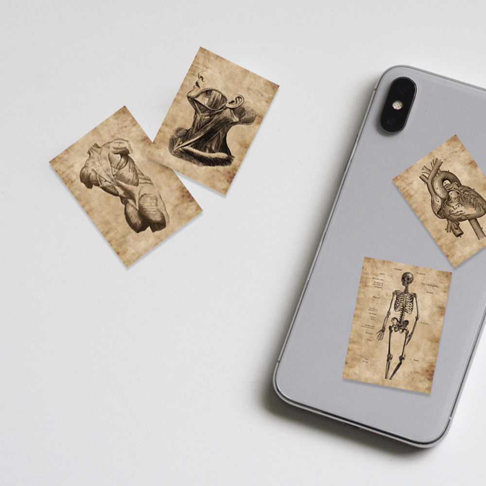 56pc Anatomy & Physiology Body Stickers for DIY Skateboard Guitar