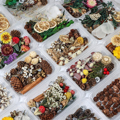 Dried Fruits & Flowers DIY Kit Natural Plants Pine Nuts Cinnamon Decor