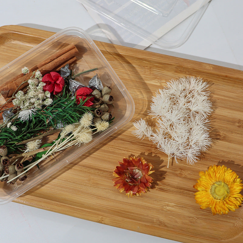 Dried Fruits & Flowers DIY Kit Natural Plants Pine Nuts Cinnamon Decor