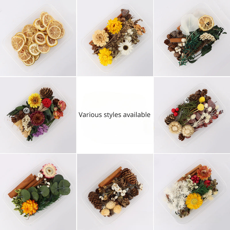 Dried Fruits & Flowers DIY Kit Natural Plants Pine Nuts Cinnamon Decor