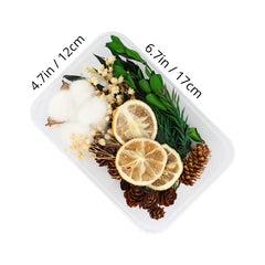 Dried Fruits & Flowers DIY Kit Pine Nuts Cinnamon Ornaments