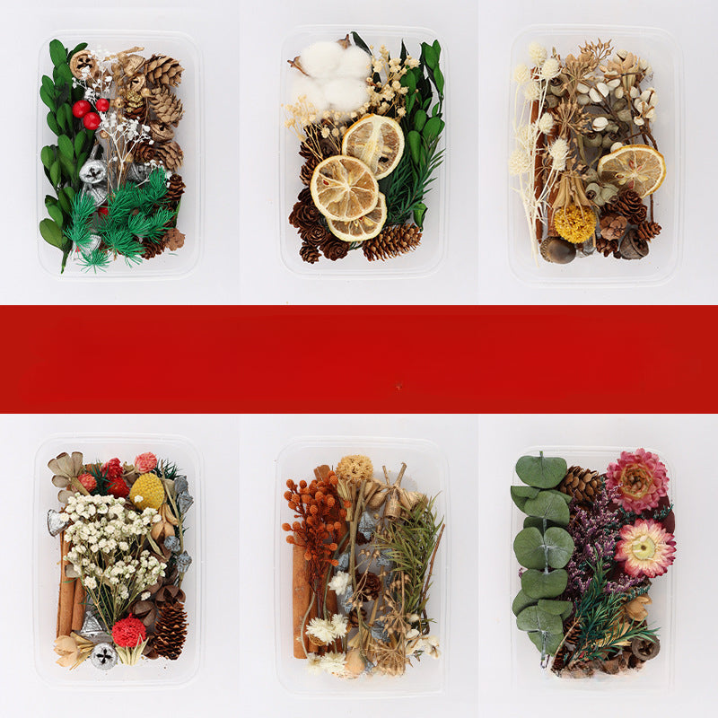 Dried Fruits & Flowers DIY Kit Pine Nuts Cinnamon Ornaments