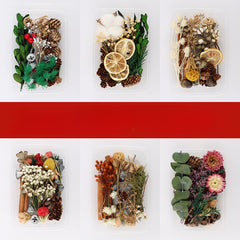 Dried Fruits & Flowers DIY Kit Pine Nuts Cinnamon Ornaments