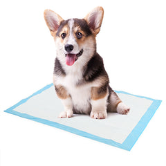 Disposable Pet Diapers High Absorbent Dog Diaper Mats Puppy Potty Training Pads