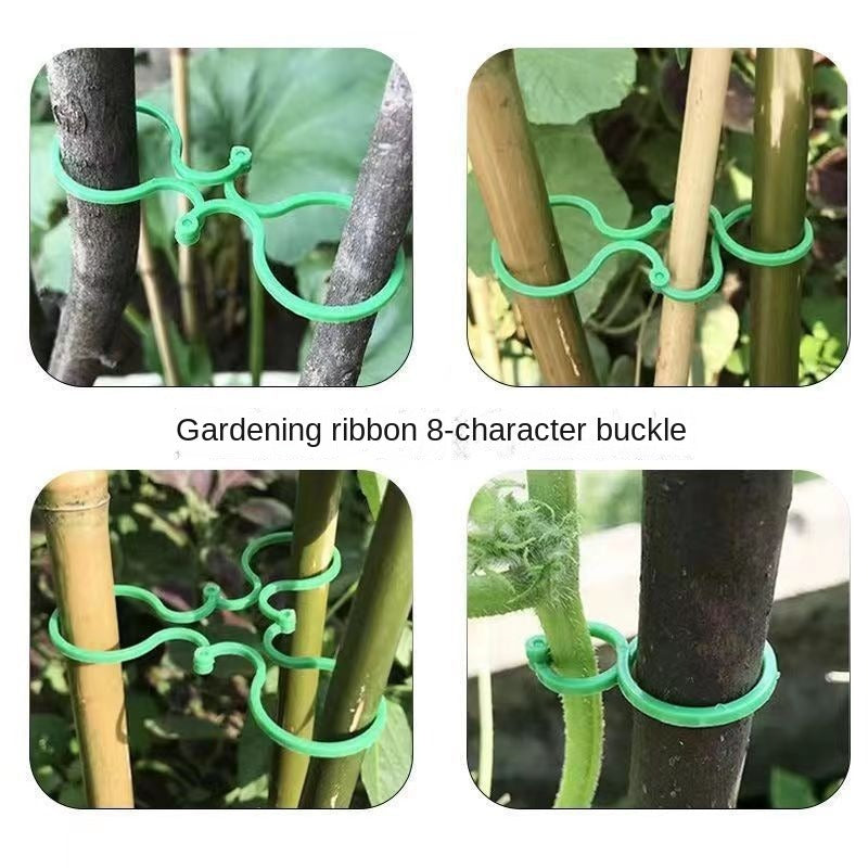 100pcs Butterfly Large Plant Bundle Vine Man Buck