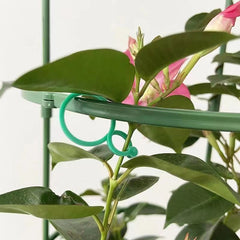 100pcs Butterfly Large Plant Bundle Vine Man Buck