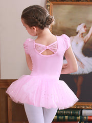 Girls Ballet Dress Kids Short Sleeve Dance Wear Gymnastics Dress