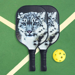 Fiberglass Carbon Fiber Pickleball Paddle Set with Ball for Training