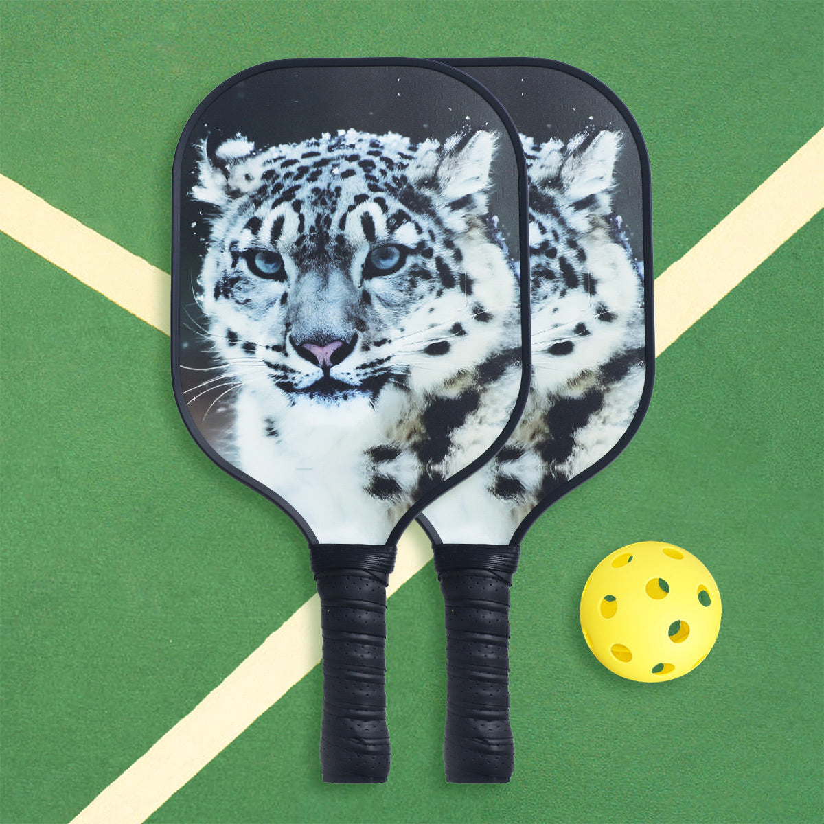 Fiberglass Carbon Fiber Pickleball Paddle Set with Ball for Training
