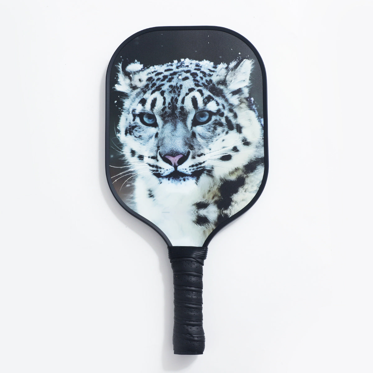 Fiberglass Carbon Fiber Pickleball Paddle Set with Ball for Training
