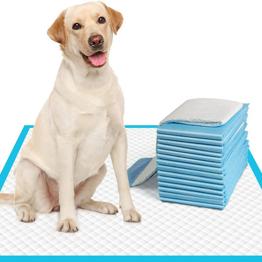 5pcs Leak Proof Pet Training Pads Strong Absorption Disposable