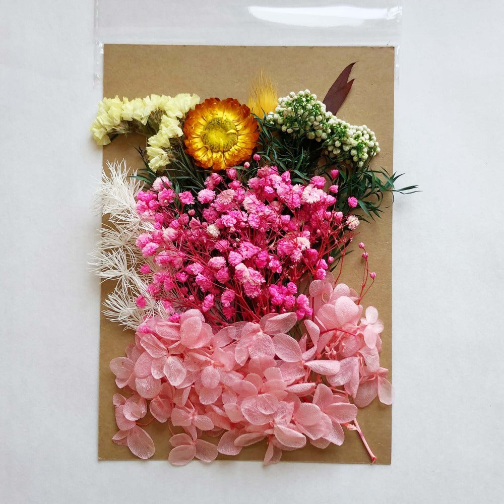 DIY Dried Flower Pack A5 Perpetual Flower Material for Photo Frame