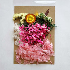 DIY Dried Flower Pack A5 Perpetual Flower Material for Photo Frame