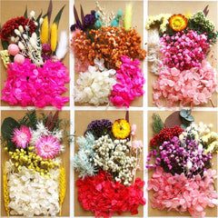 DIY Dried Flower Pack A5 Perpetual Flower Material for Photo Frame