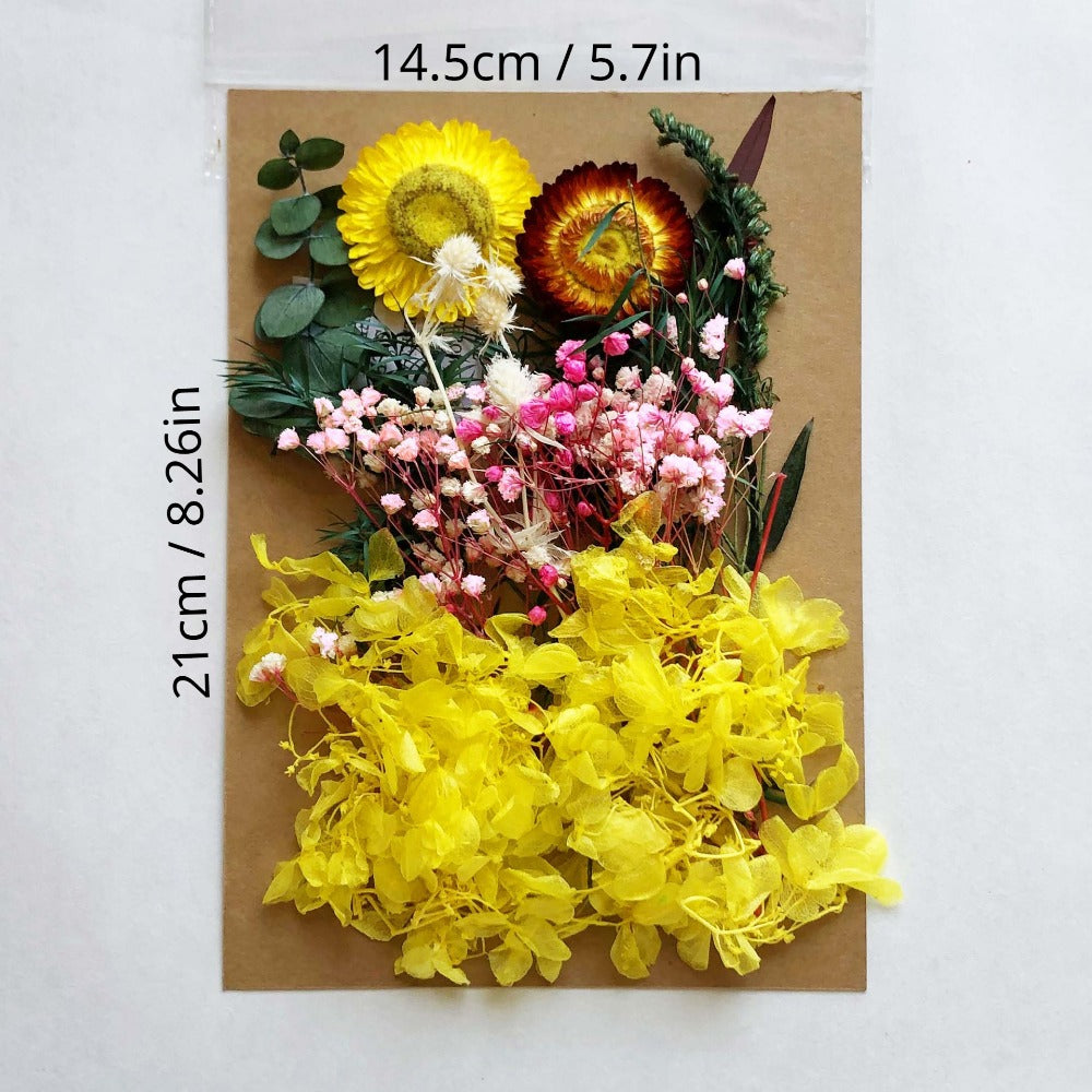 DIY Dried Flower Pack A5 Perpetual Flower Material for Photo Frame