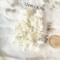 Dried Flowers Forever Petals Car Hanger Wreath Kit