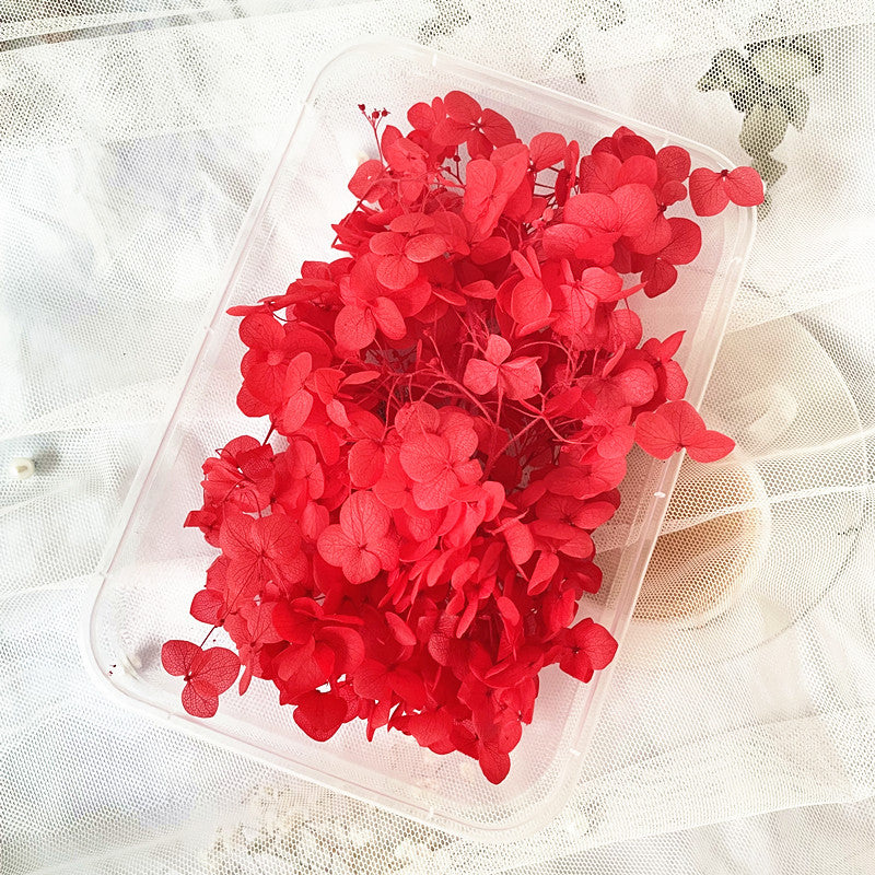 Dried Flowers Forever Petals Car Hanger Wreath Kit