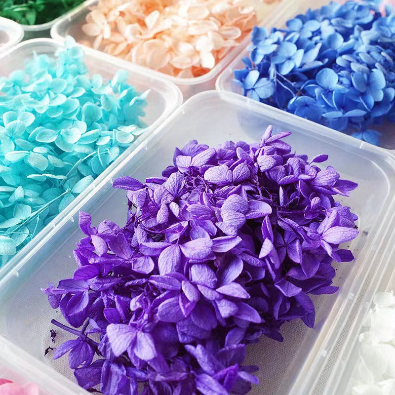 Dried Flowers Kit for Crafts and Decorations