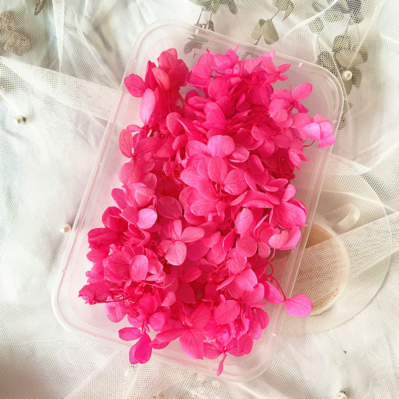 Dried Flowers Kit for Crafts and Decorations