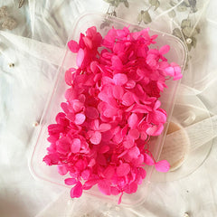 Dried Flowers Kit for Crafts and Decorations