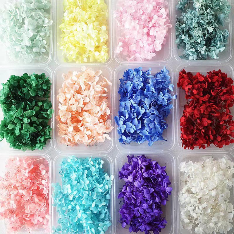Dried Flowers Kit for Crafts and Decorations