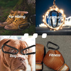 Durable D Buckle Keychain Metal Carabiner