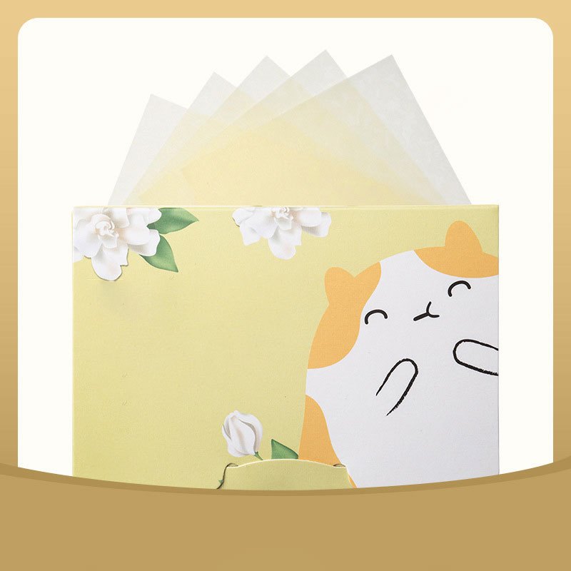 100Pcs Facial Absorbing Paper Control Oil Portable Box Makeup Tools
