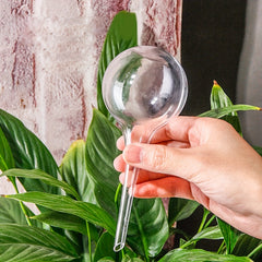 2pcs Self Watering Balls Automate Plant Care Automatic Water Seepage Device