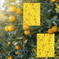 Double Sided Armyworm Board Yellow Insect Trap Board for Garden