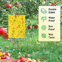 Double Sided Armyworm Board Yellow Insect Trap Board for Garden