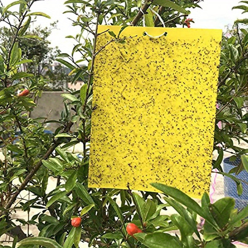 Double Sided Armyworm Board Yellow Insect Trap Board for Garden