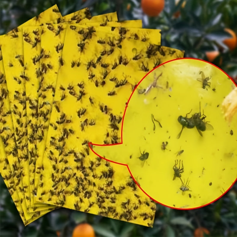 Double Sided Armyworm Board Yellow Insect Trap Board for Garden
