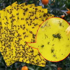 Double Sided Armyworm Board Yellow Insect Trap Board for Garden