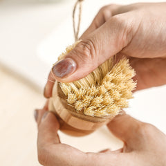 Kitchen Fruit And Vegetable Cleaning Brush Shoes Brush with Wood Handle